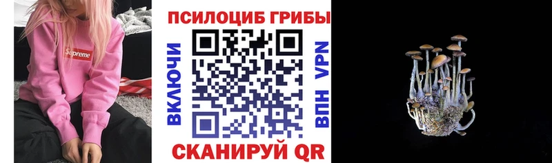 Псилоцибиновые грибы Psilocybe MEGA рабочий сайт Тырныауз площадка официальный сайт где можно купить